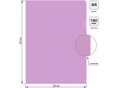 Папка-уголок Бюрократ Pastel -EPAST/VIO A4 пластик 0.18мм фиолетовый