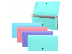 Папка-картотека пластиковая ErichKrause Diagonal Pastel, с 13 отделениями, 260х138х25мм, толщина - 0.7мм