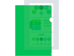 Папка-уголок Бюрократ -EE310/1GREEN A4 пластик 0.15мм зеленый