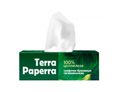 Салфетки бумажные гигиенические TERRA PAPERRA двухслойные, 100лист/коробка